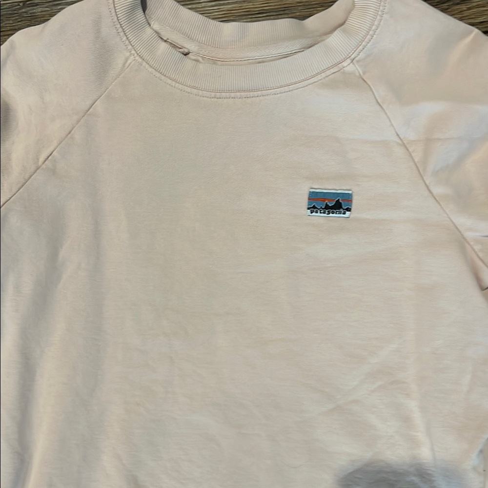 Patagonia Pink Sweatshirt